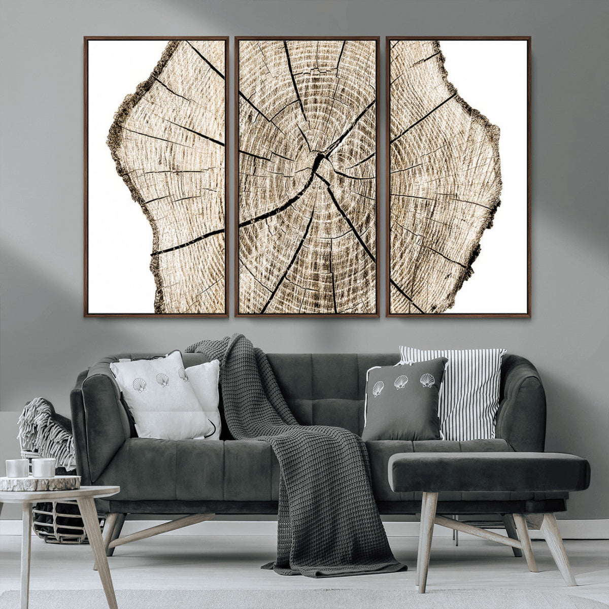 Abstract Wood Tree Ring Wall Art - Ready to Hang Minimalist