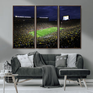 Michigan Wolverines Football Canvas Wall Decor, Football