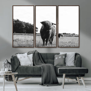 Black and White Highland Cow Wall Art Canvas Print | Rustic