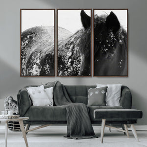 Black Horse in Snow Canvas Print | Winter Horse Wall Art |