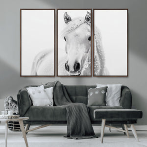 Majestic White Horse Wall Art | Ready to Hang and Framed |