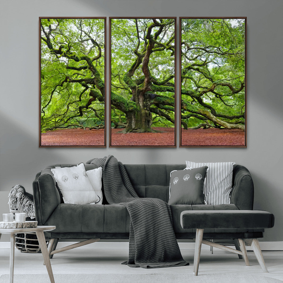 Framed Angel Oak Tree Wall Art - 3-Panel Canvas Prints,