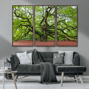 Framed Angel Oak Tree Wall Art - 3-Panel Canvas Prints,