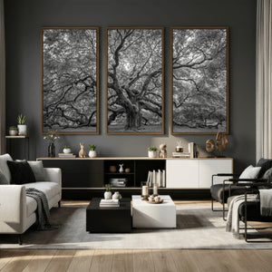 Majestic Angel Oak Tree Black and White Canvas Print – Multi