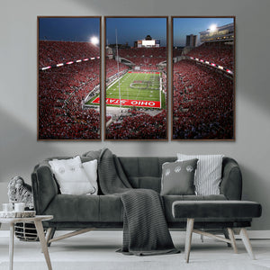 Ohio State University Buckeyes Football Team Print -