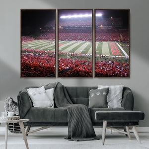 Rutgers University Scarlet Knights Football Team Print -