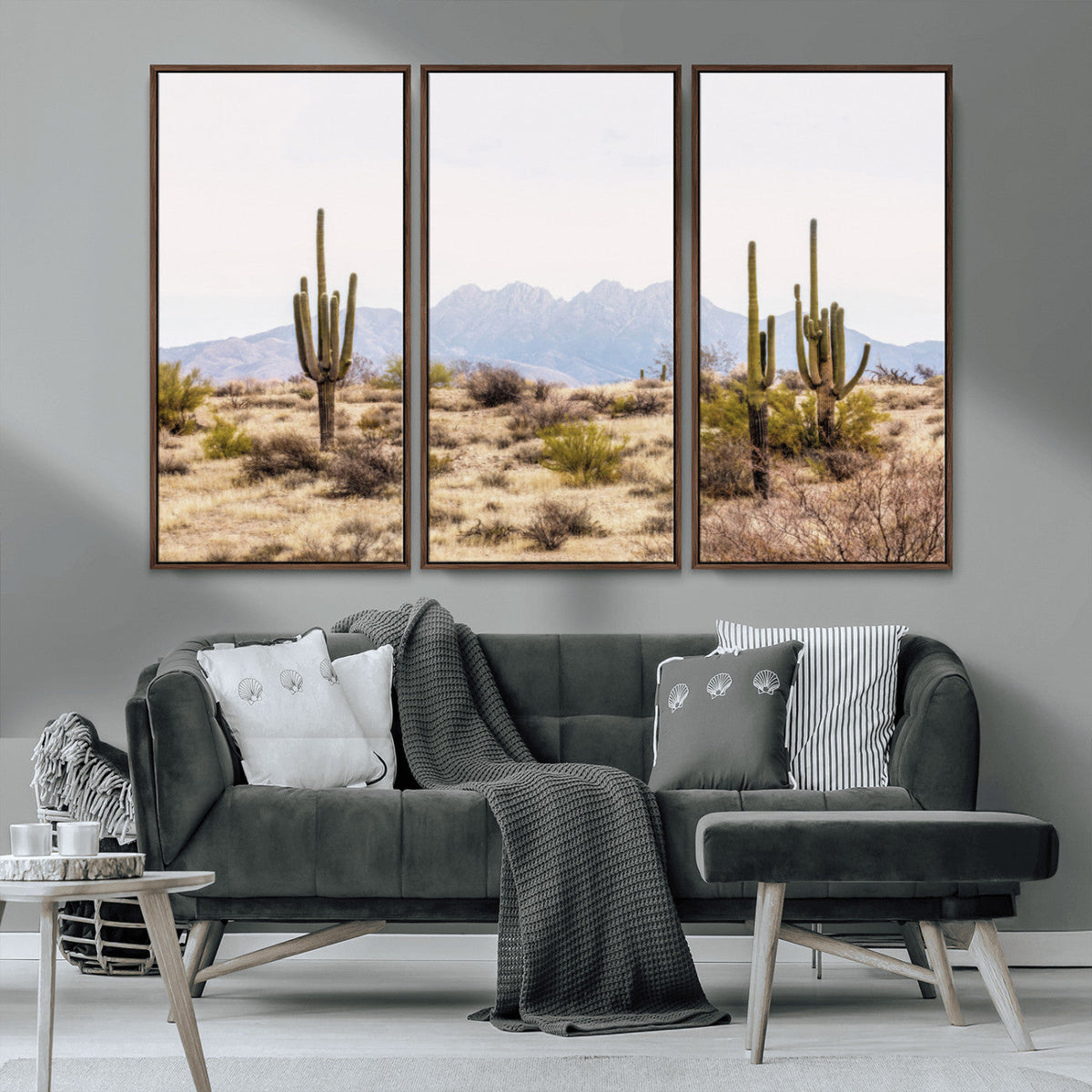 Arizona Desert Wall Art Print | Arizona Desert Canvas Print