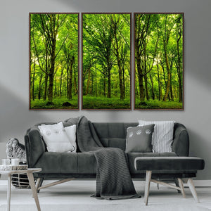 Lush Green Forest Canvas Print | 3-Panel Forest Wall Art |
