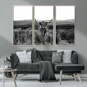 Black and White Highland Cow Canvas Wall Art, Longhorn