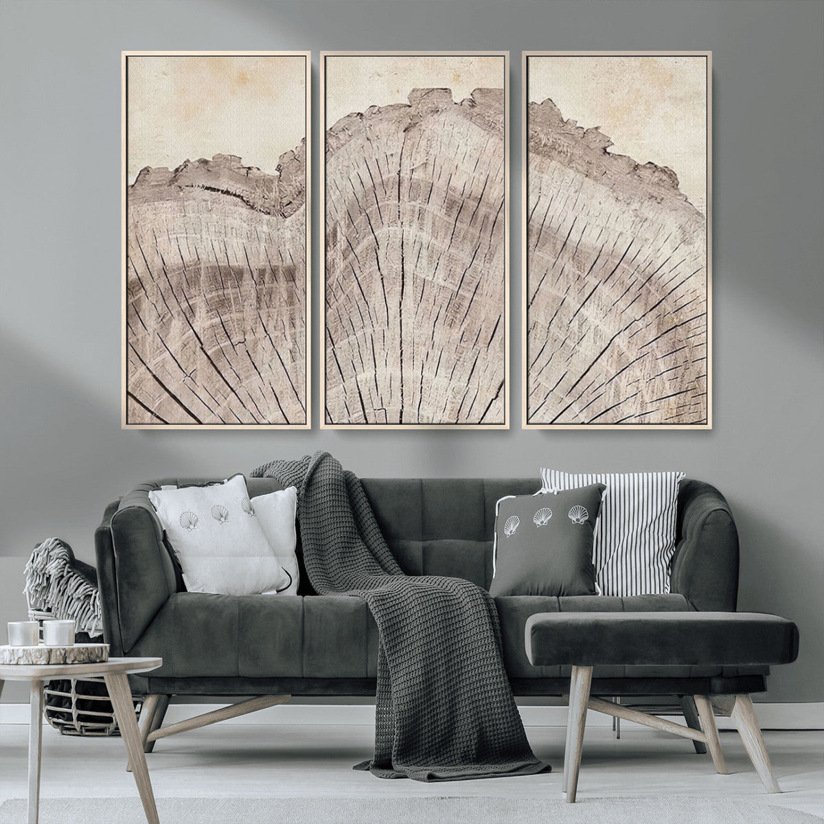 Tree Ring Wall Art Triptych, Rustic Wood Ring Canvas Print,
