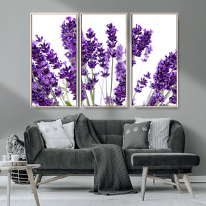 Lavender Flower Wall Art Canvas Print