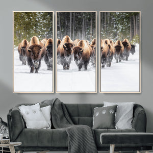 American Bison Herd Wall Art Canvas Print – Powerful Winter