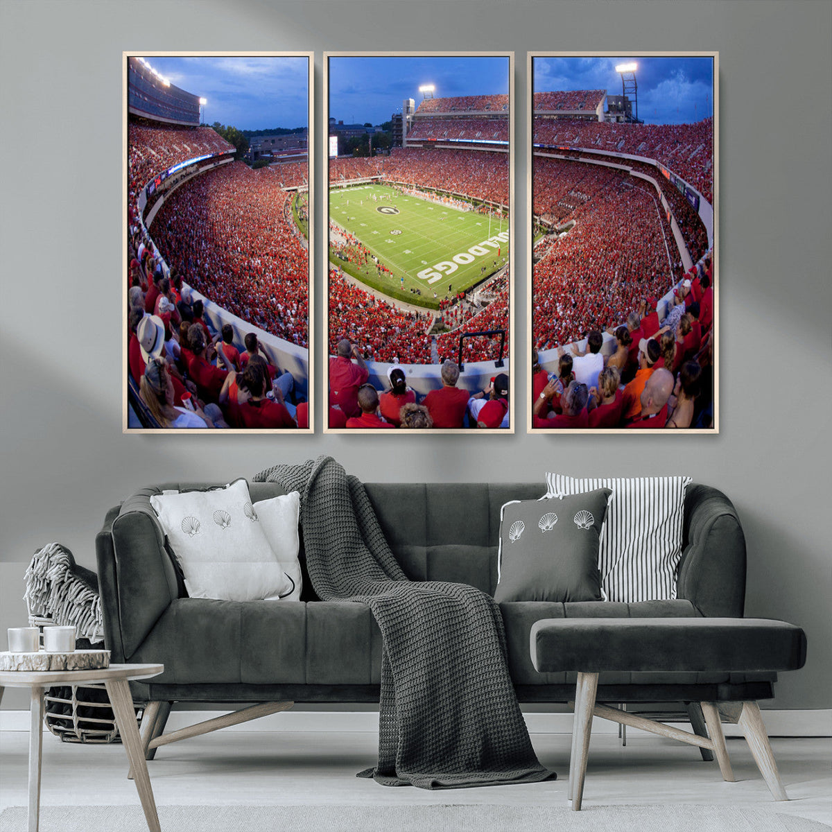 Dooley Stadium Wall Art, Sports Arena Canvas Print, Dooley
