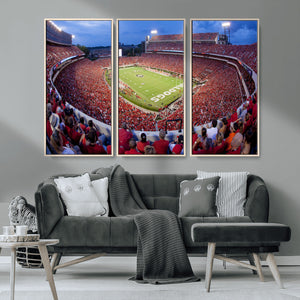 Dooley Stadium Wall Art, Sports Arena Canvas Print, Dooley