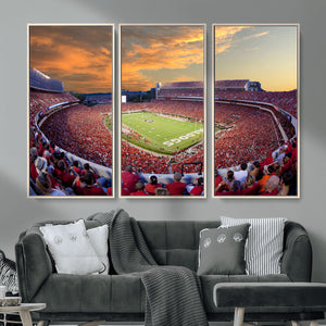 Dooley Stadium Wall Art, Sports Arena Canvas Print, Dooley
