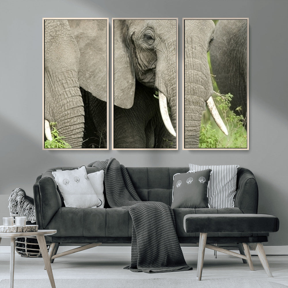 Wild Elephant Wall Art Canvas Print