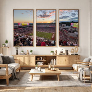 Donald W. Reynolds Razorback Stadium Wall Art Canvas Print –