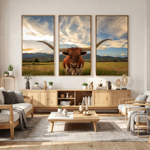 Texas Longhorn Canvas Wall Art – Majestic Triptych Animal