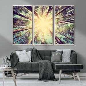 Tree and Sunshine Canvas Print