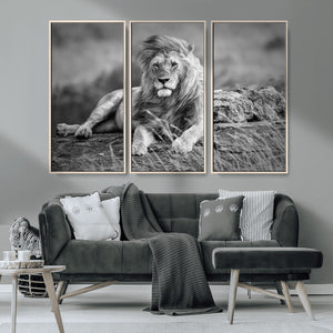 King Forest Lion Wall Art Canvas Print – Framed Majestic