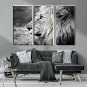 Lion Wall Art Canvas Print – Framed Majestic Wildlife