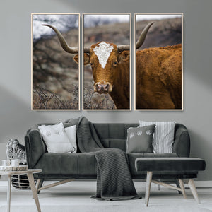 Texas Longhorn Canvas Wall Art - Longhorn Steer Canvas Wall