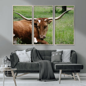 Longhorn Cow Animal Wall Art Canvas Print