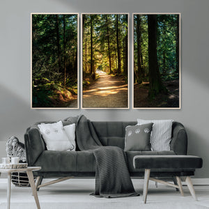 Sunlit Forest Pathway Canvas Print | 3 Panel Large Nature