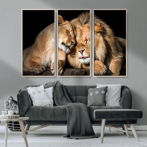 Lion and Lioness Wall Art Canvas Print – Framed African