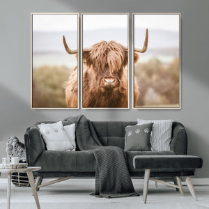 Scottish Serene Highland Cow Canvas Wall Art – Serene