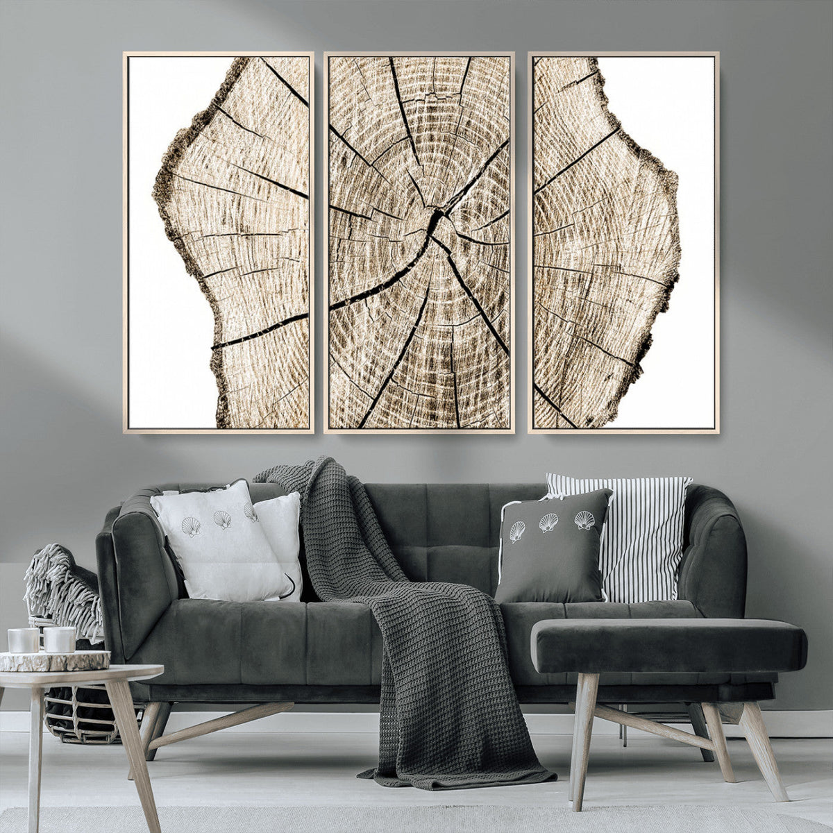 Abstract Wood Tree Ring Wall Art - Ready to Hang Minimalist