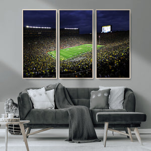 Michigan Wolverines Football Canvas Wall Decor, Football