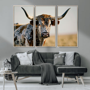 Texas Bull Longhorn Wall Art Canvas Print for Farm House
