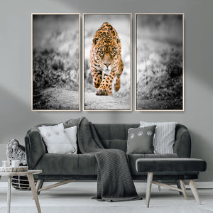 Jaguar Wall Art Canvas Print - Majestic Big Cat in Focused