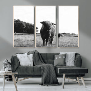 Black and White Highland Cow Wall Art Canvas Print | Rustic