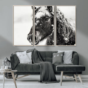 Framed Black and White Horse Wall Art | Ready to Hang and