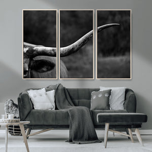 Cow Longhorn Wall Art | Black and White Print | Ready to