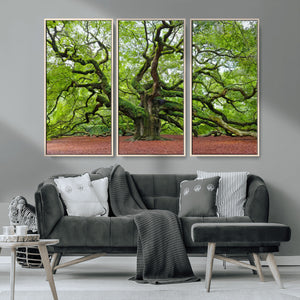 Framed Angel Oak Tree Wall Art - 3-Panel Canvas Prints,