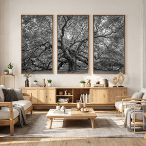Majestic Angel Oak Tree Black and White Canvas Print – Multi