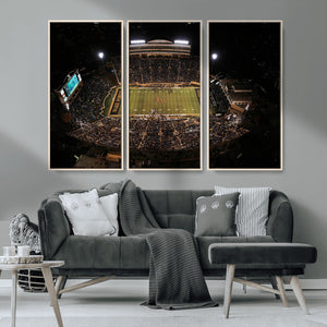 Wake Forest University Demon Deacons Canvas Printi, Football