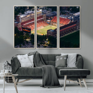 University of Illinois Fighting Illini Football Team Print -