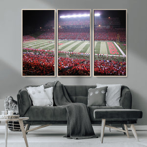 Rutgers University Scarlet Knights Football Team Print -
