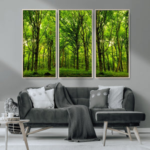 Lush Green Forest Canvas Print | 3-Panel Forest Wall Art |