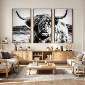 Black and White Scottish Cow Canvas Wall Art Highland Cattle