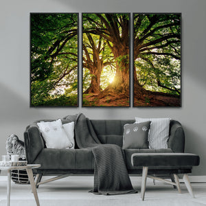 Majestic Ancient Tree Wall Art, NatureCanvas Print, Woodland