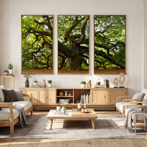 Angel Oak Tree Wall Art Canvas Print | Forest Tree Nature