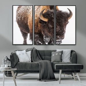Bison Wall Art Canvas Print For Farmhouse, Wild Animal Wall