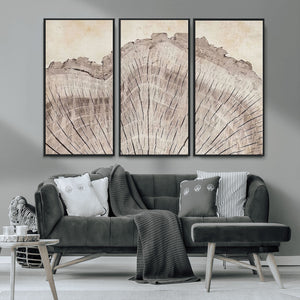 Tree Ring Wall Art Triptych, Rustic Wood Ring Canvas Print,
