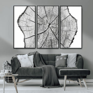 Rustic Tree Ring Wall Art Canvas Print – Framed and Ready to