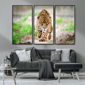 Leopard on the Prowl - Stunning Large Framed Leopard Wall